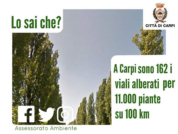 A Carpi sono 162 i viali alberati per 11.000 piante su 100 km