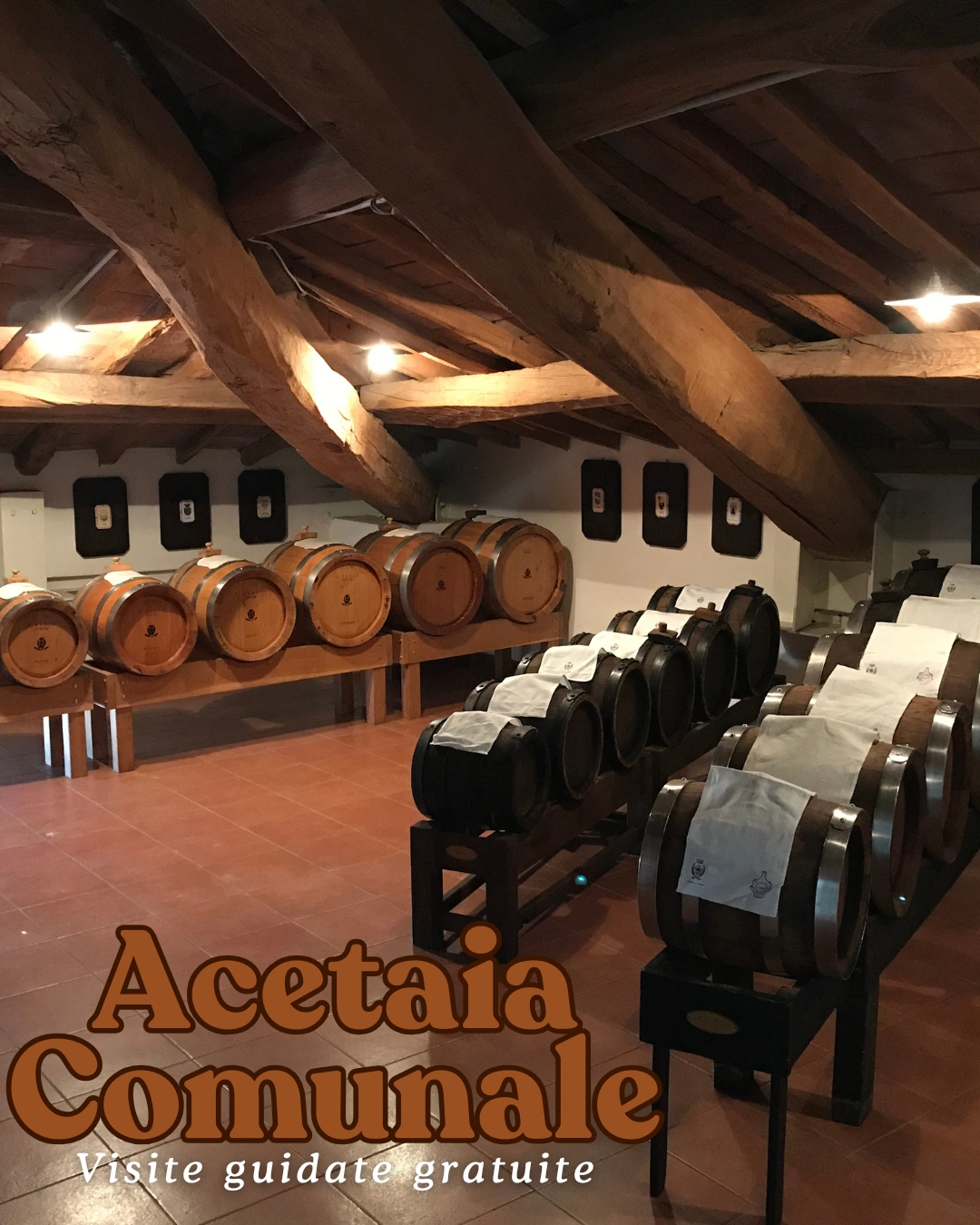 visite guidate all'acetaia comunale di Carpi