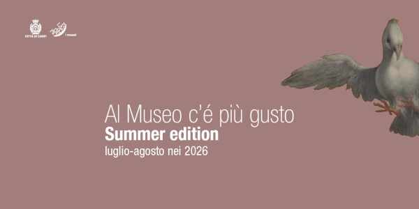 visite guidate dei Musei di palazzo dei Pio